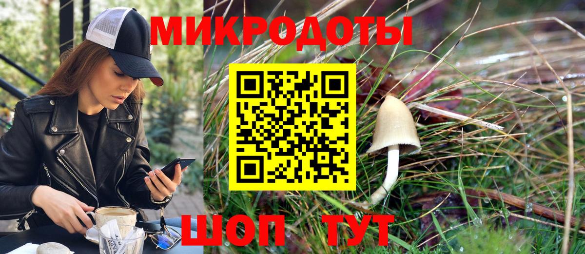 Псилоцибиновые грибы MAGIC MUSHROOMS  Псилоцибиновые грибы Magic Shrooms  Вход с VPN  Тулун 
